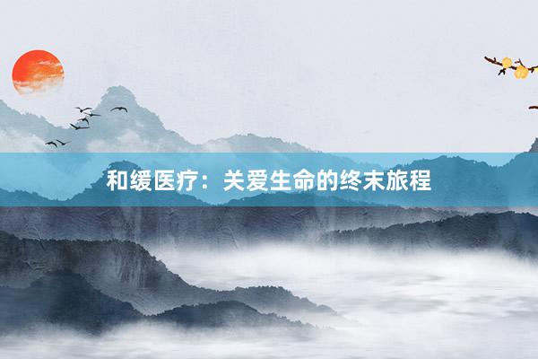 和缓医疗：关爱生命的终末旅程