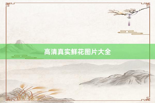 高清真实鲜花图片大全