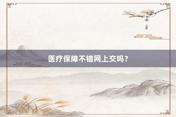 医疗保障不错网上交吗？