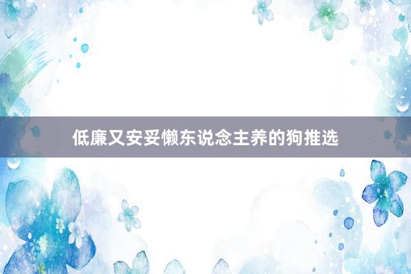 低廉又安妥懒东说念主养的狗推选