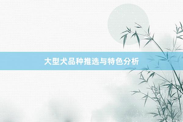 大型犬品种推选与特色分析